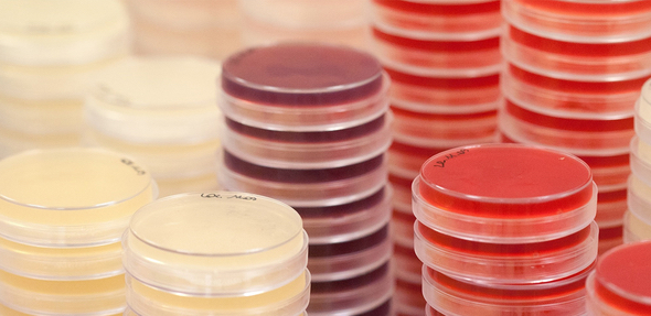 美蓓亞集團為LABORATORI DERIVATI ORGANIC提供的解決方案